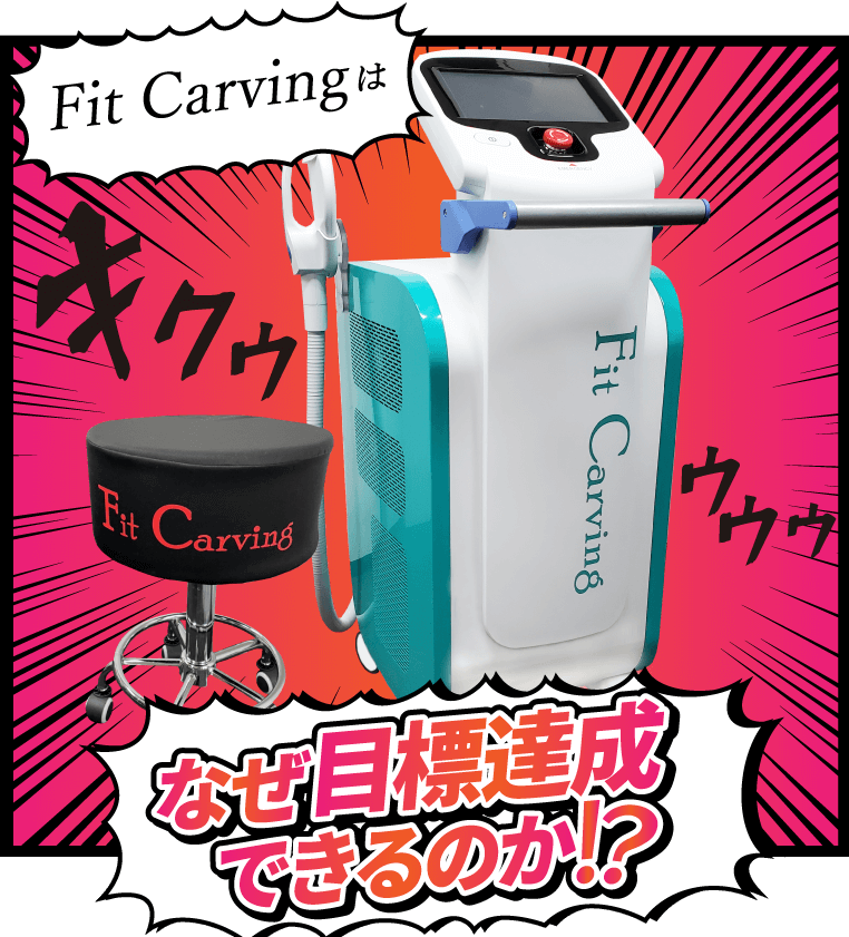 エステ用業務用痩身機器 フィットカービング エステ用業務用痩身機器 フィットカービング