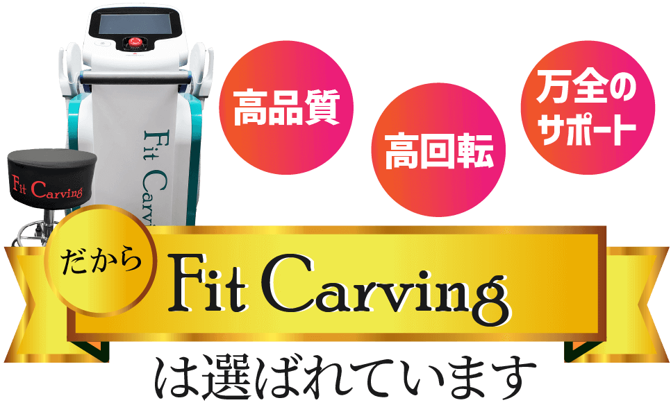 エステ用業務用痩身機器 フィットカービング エステ用業務用痩身機器 フィットカービング
